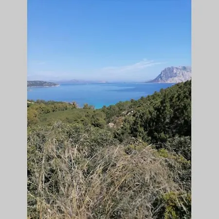 - Casa Le Tre Spighe Holiday home San Teodoro (Sardinia)